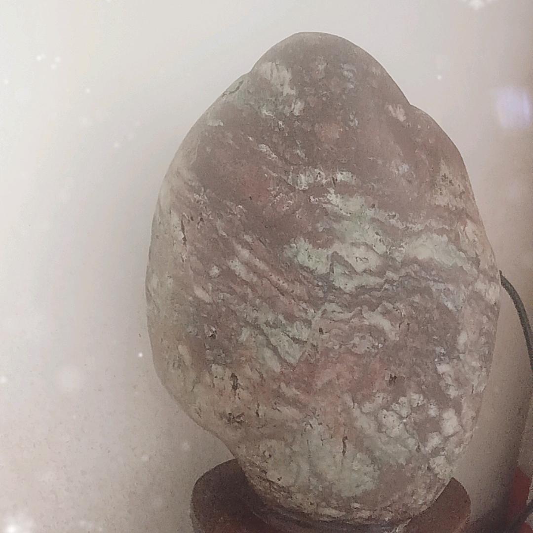 西北狼