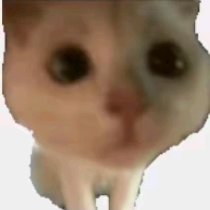 🧊