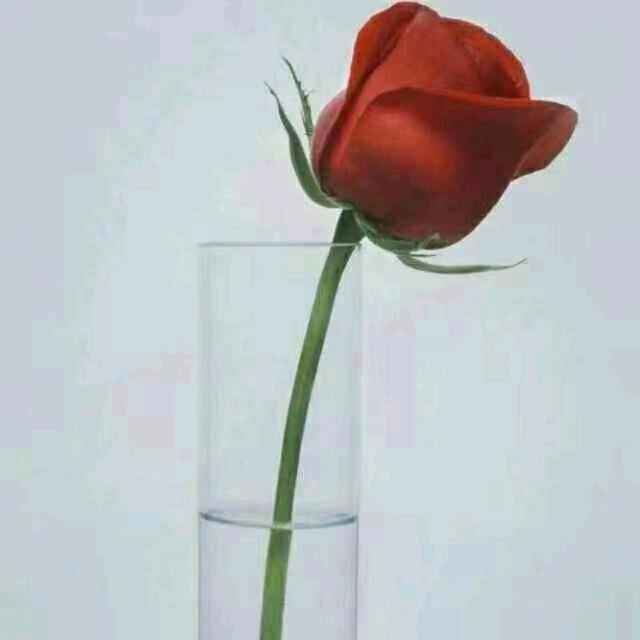 🌈✨柿柿🍅如意💫