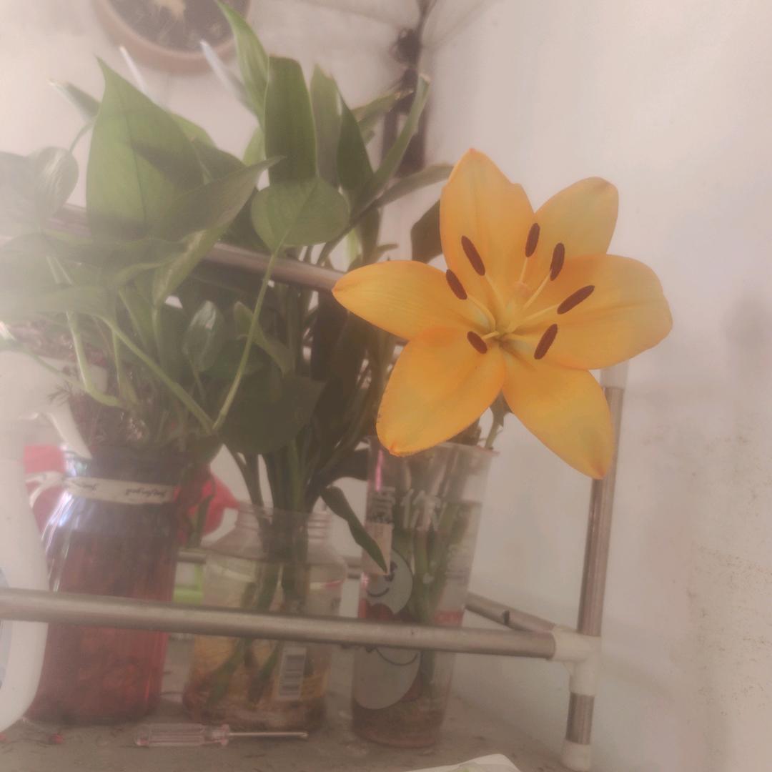 来💃💃🎊🕺🕺🤺💨退