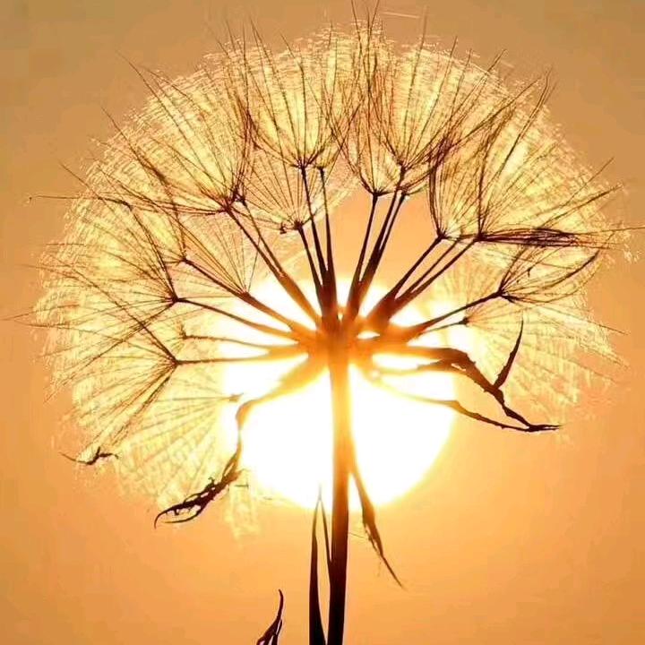 心态 ～ 比黄金更重要