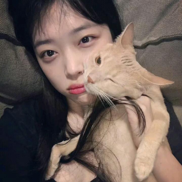hyz