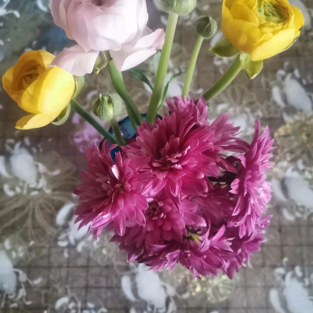 神的宝贝