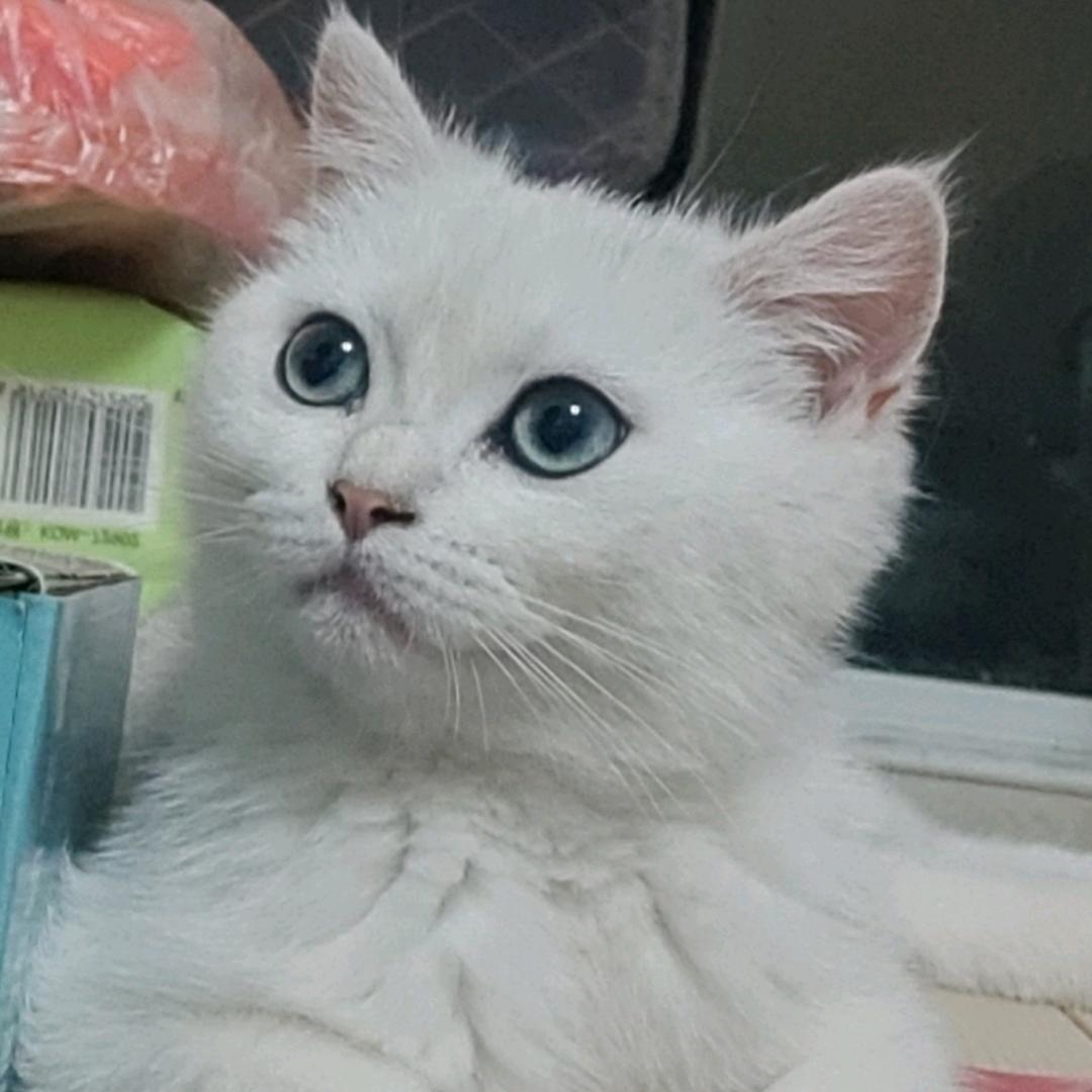 做自己最好