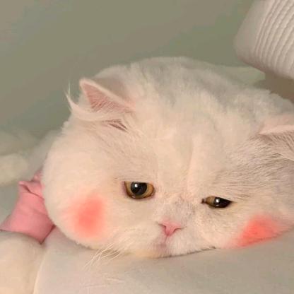 盼你归来