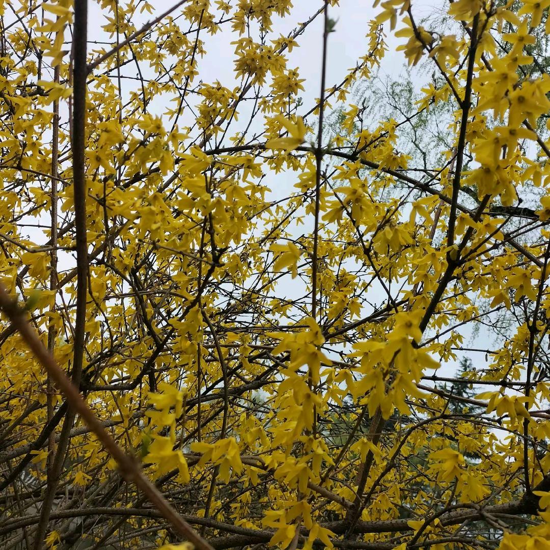 卡卡卡卡卡卡了