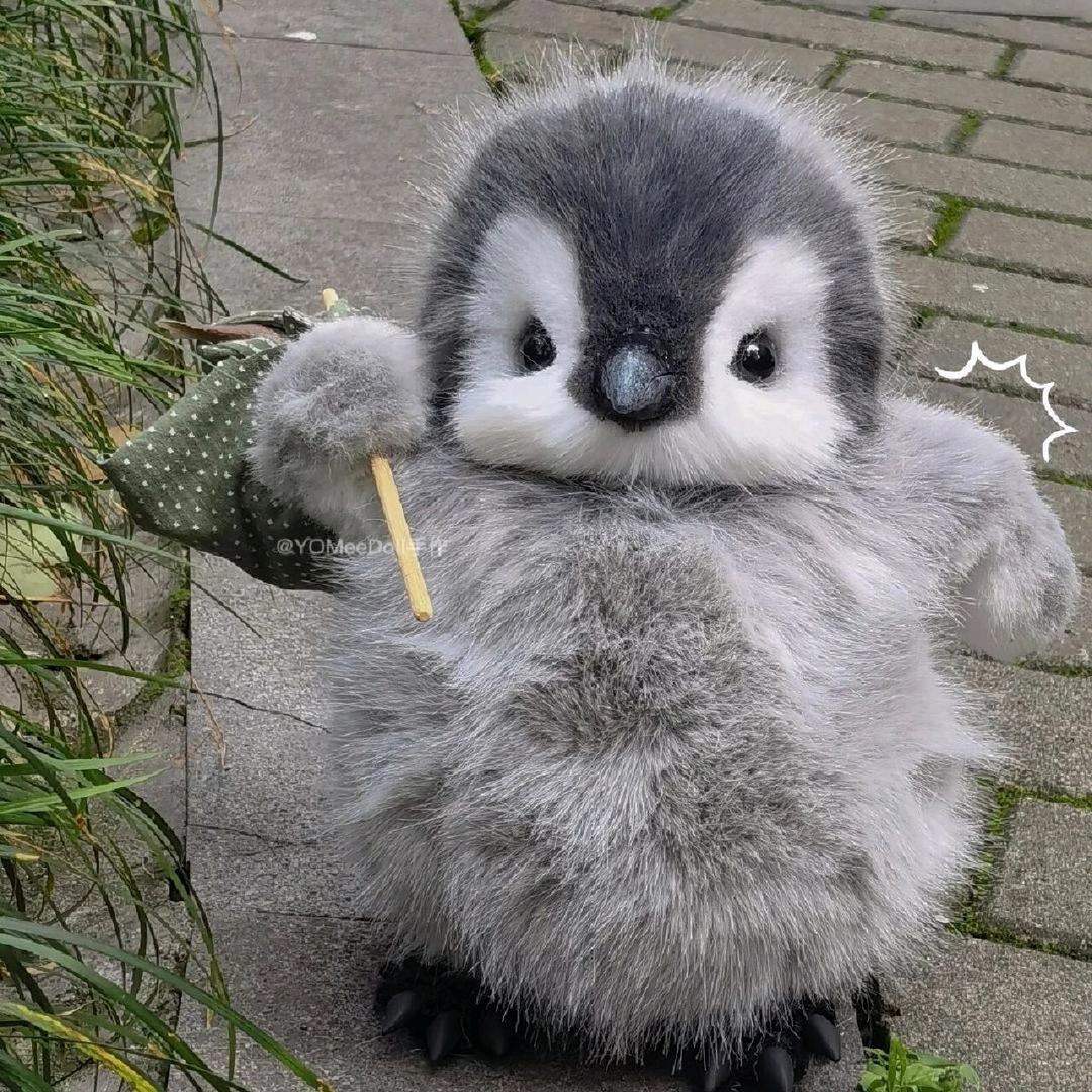 调皮꒰⌯͒•ɷ•⌯͒꒱