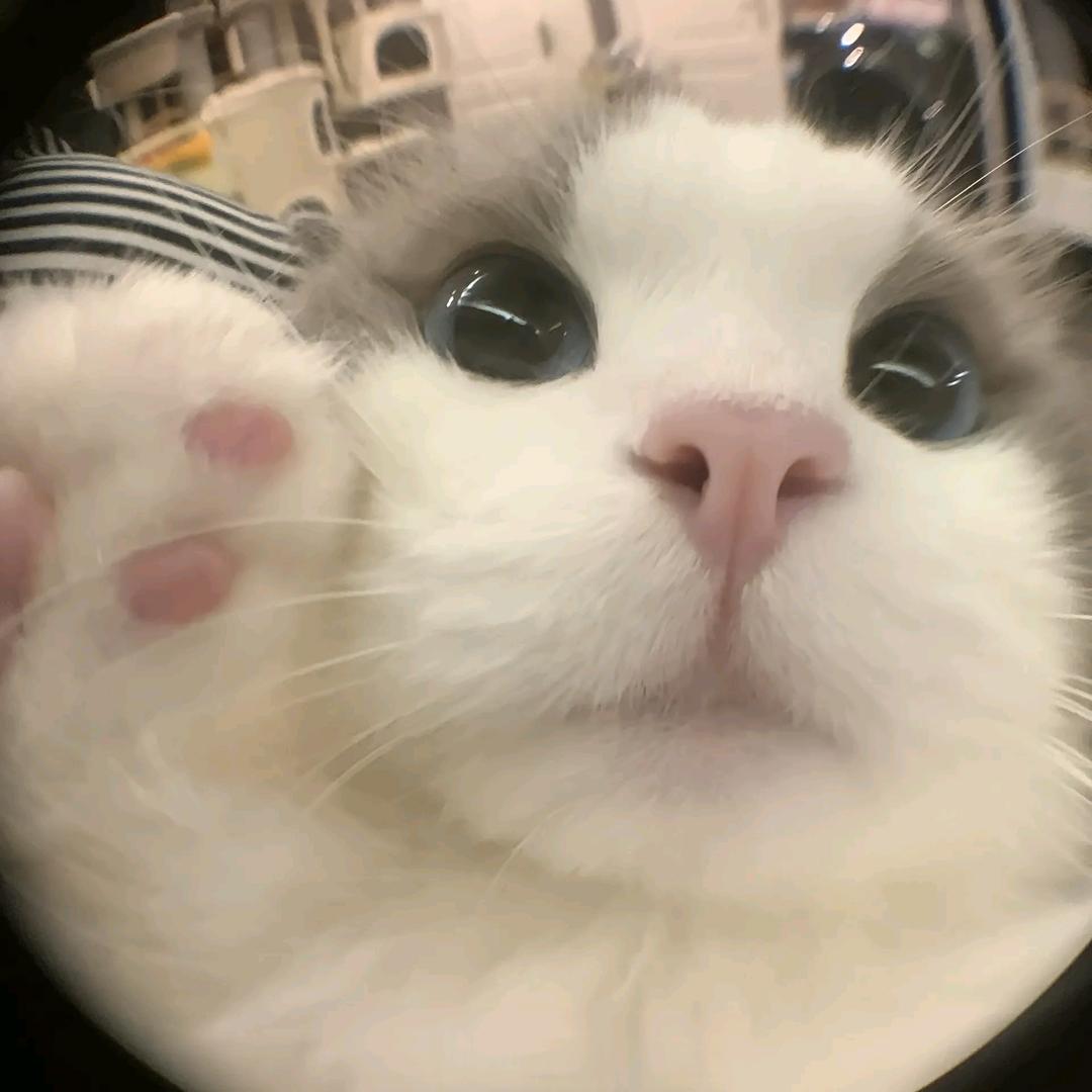 黄同学