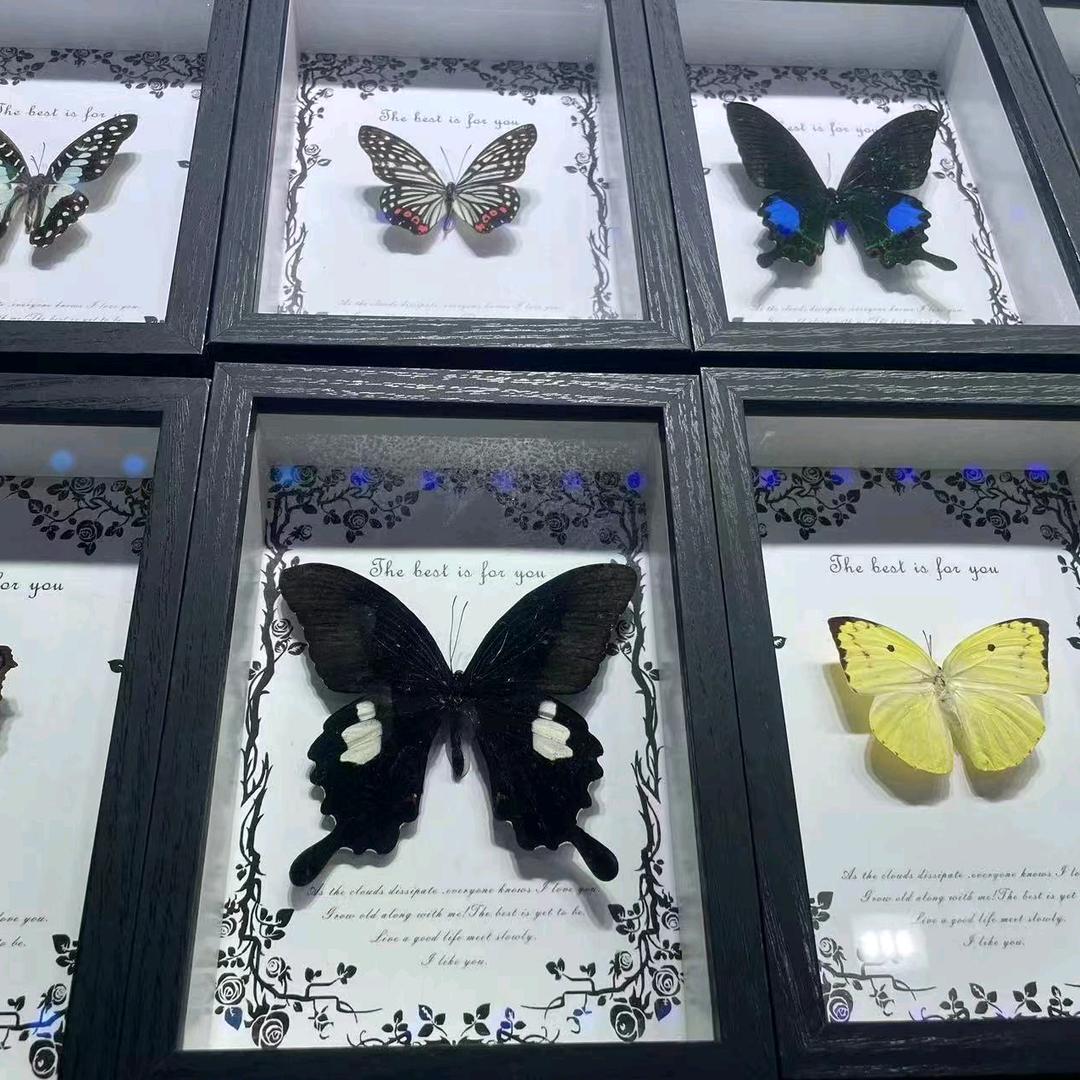 奥尔良激素鸡（减肥餐）