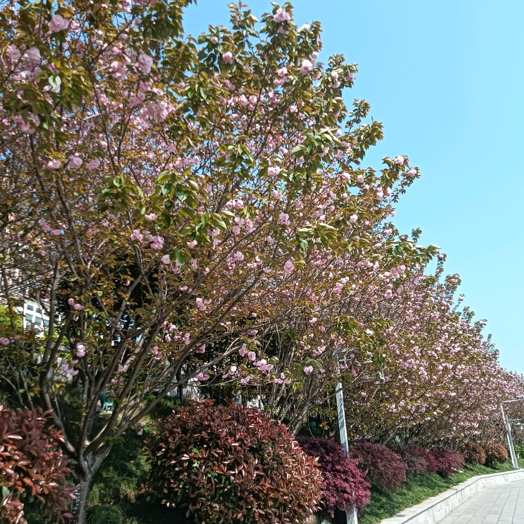 需要水电联系我