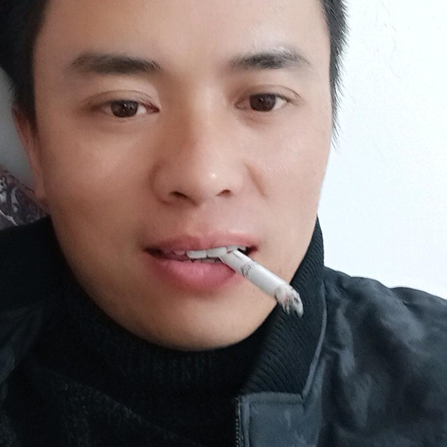 秦哥