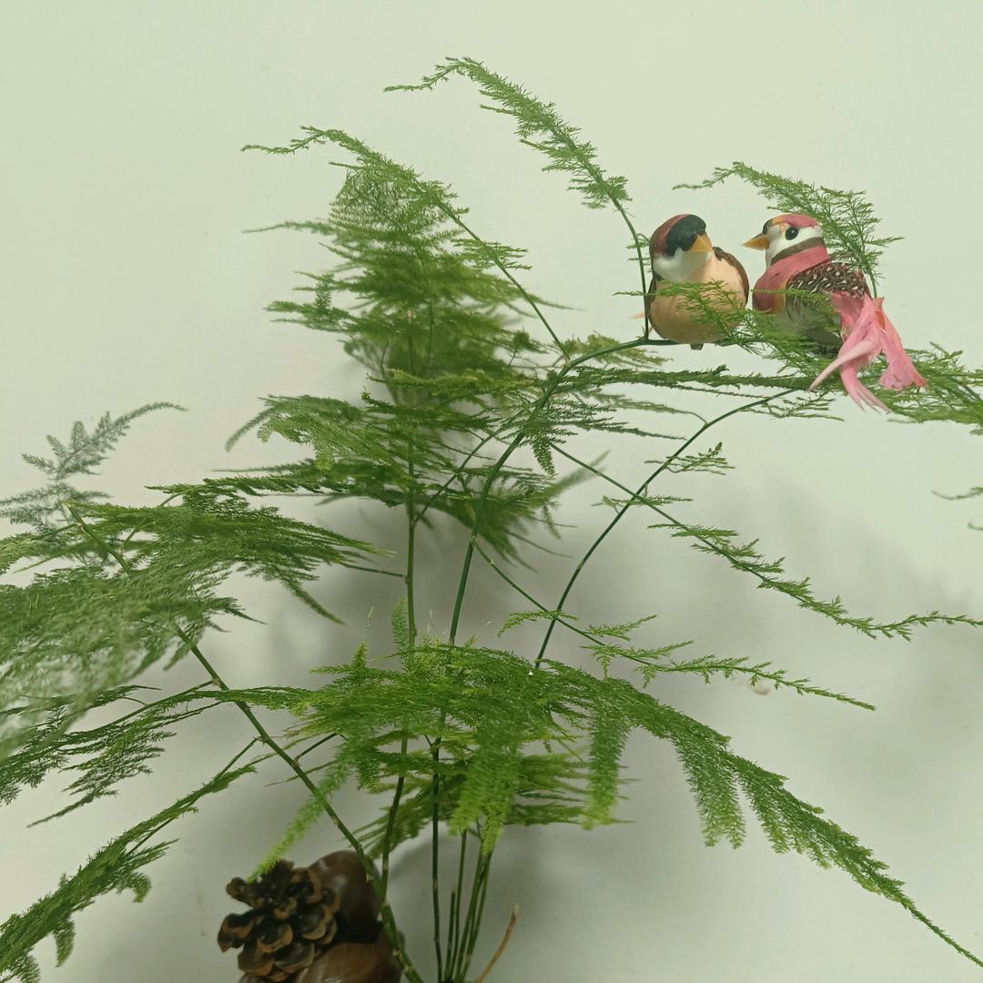 三分清醒七分醉