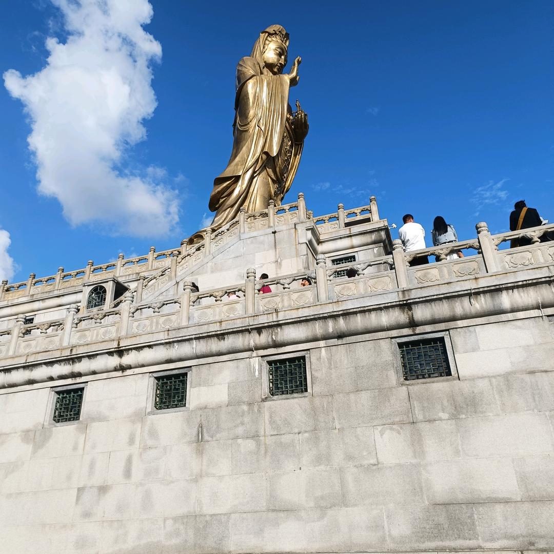 滨州苏文杰