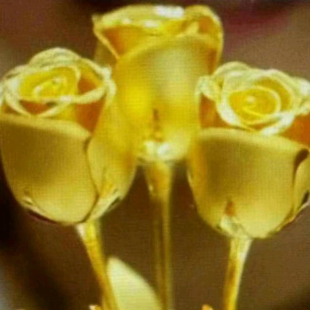 金玫瑰🌹