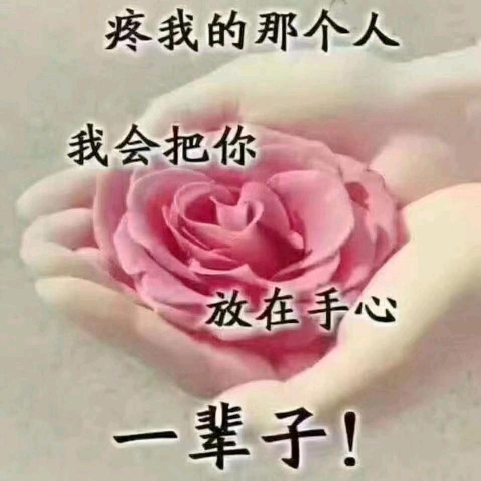 ꧁💞封心锁爱💞᭄᪲ᩚ