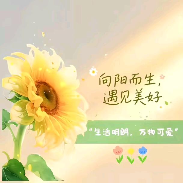 梦织星辰 ✨（布丁）