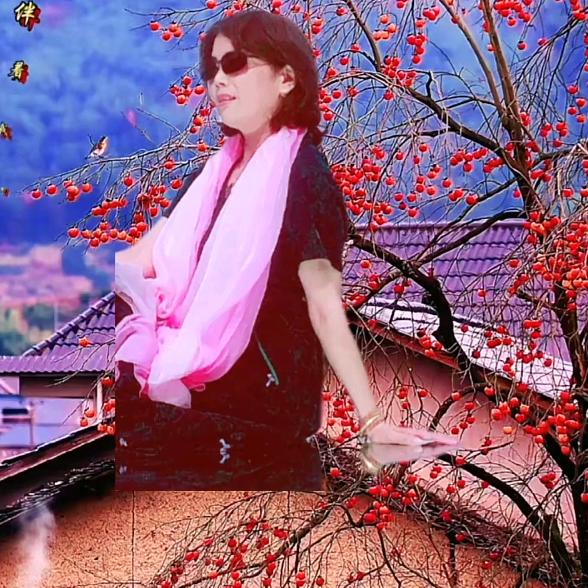 娟娟