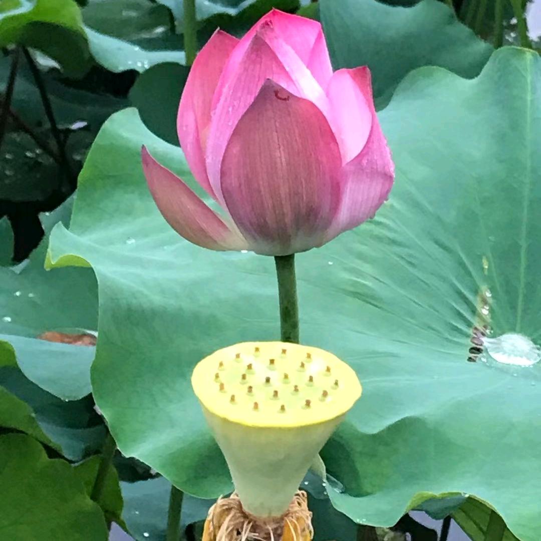 你好我好