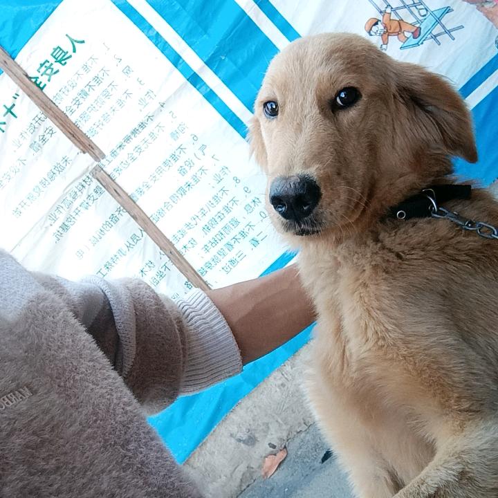 嘿！那个妞