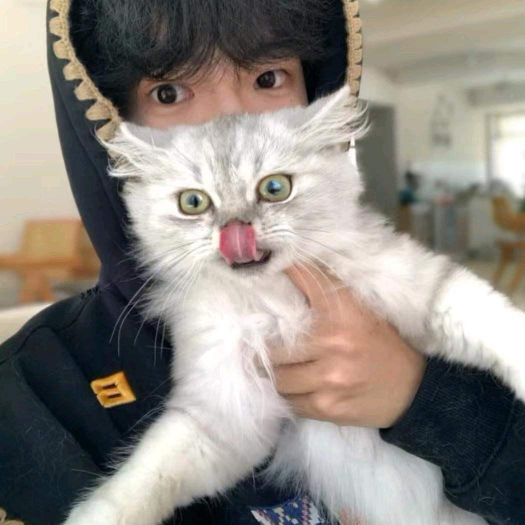 小鸟不早起