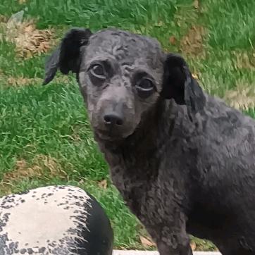 永城劳卡整家定制-7星服务设计