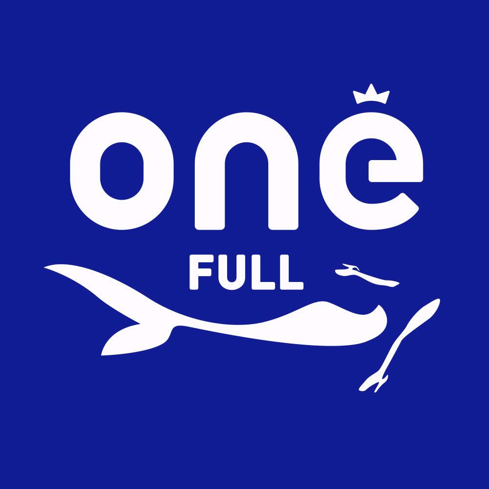 ONEFULL汪福家居清洁专卖店
