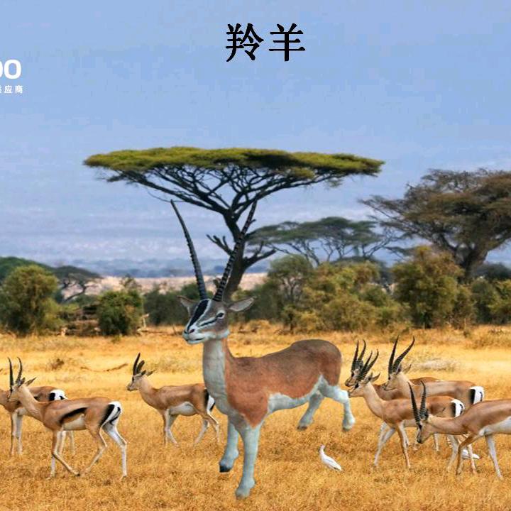 美陈展小哥