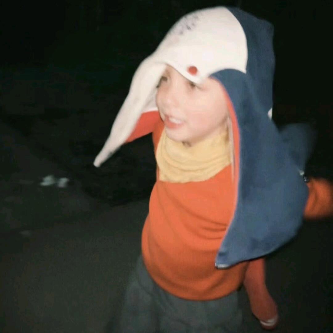 ∝