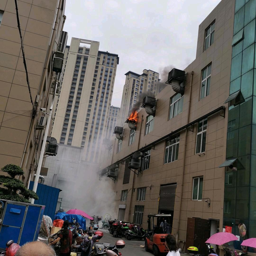 梦之兰_79110