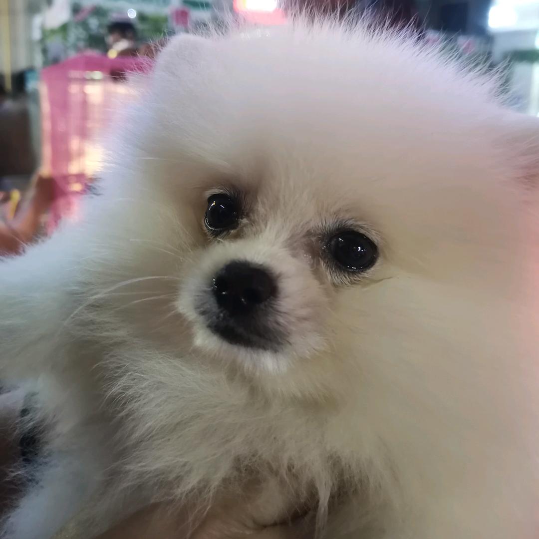 继续堕落