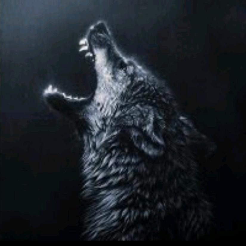 ￴ ￴￴꧁狼行天下꧂