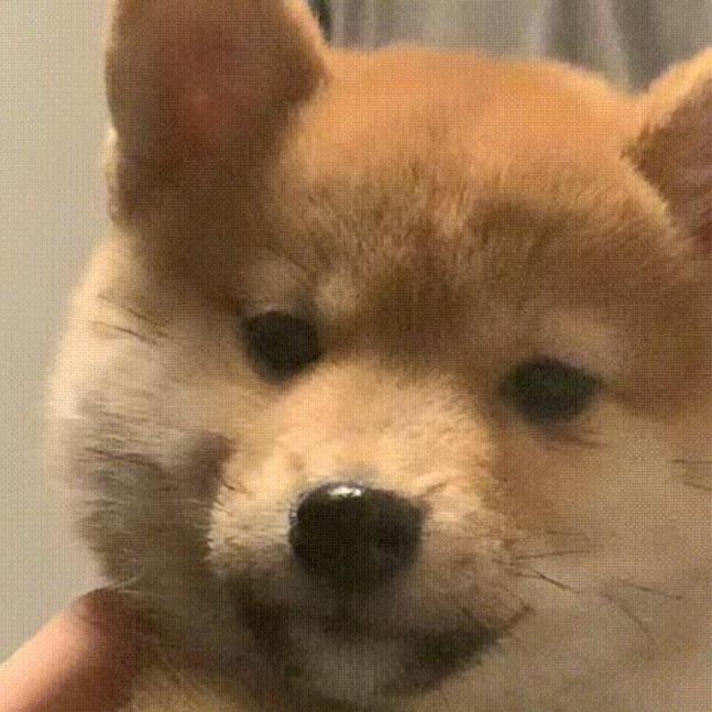 开开