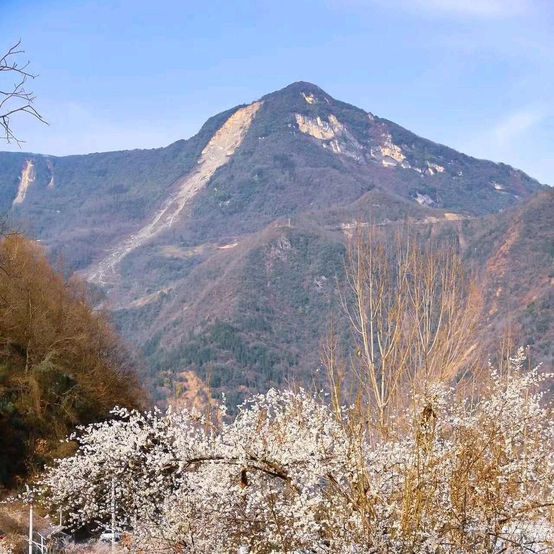 平武梅林小倩