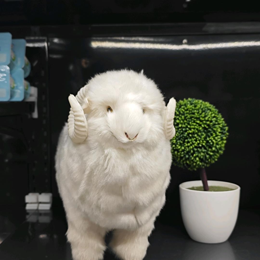 呜啦啦