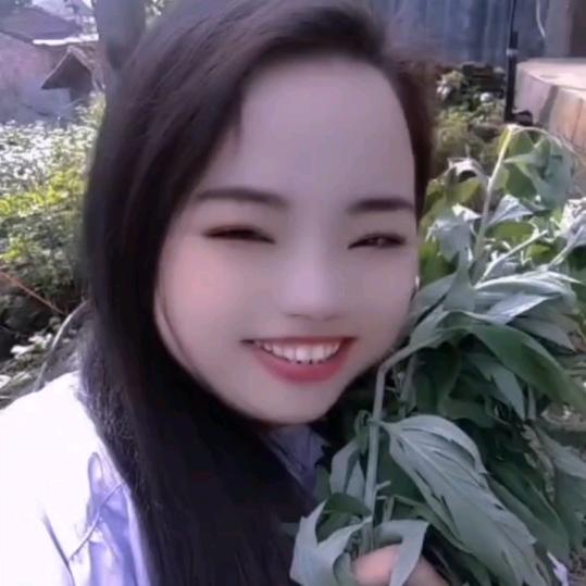 云南有机肥小主