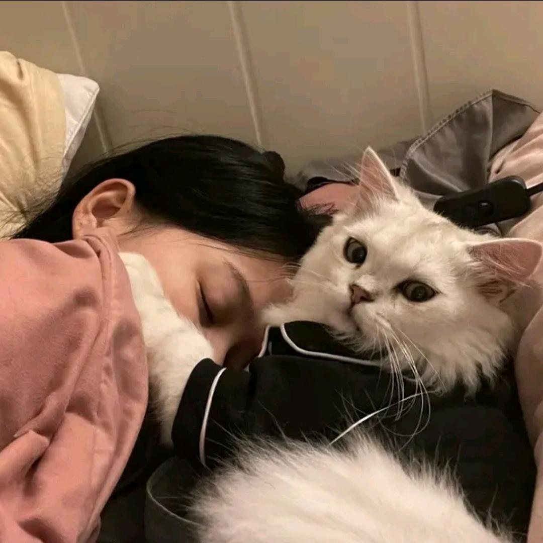 ╰悲伤浅笑