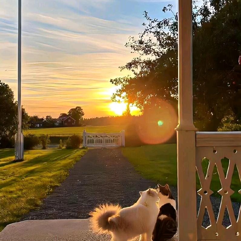 @默笙～～🌈🌈🌈