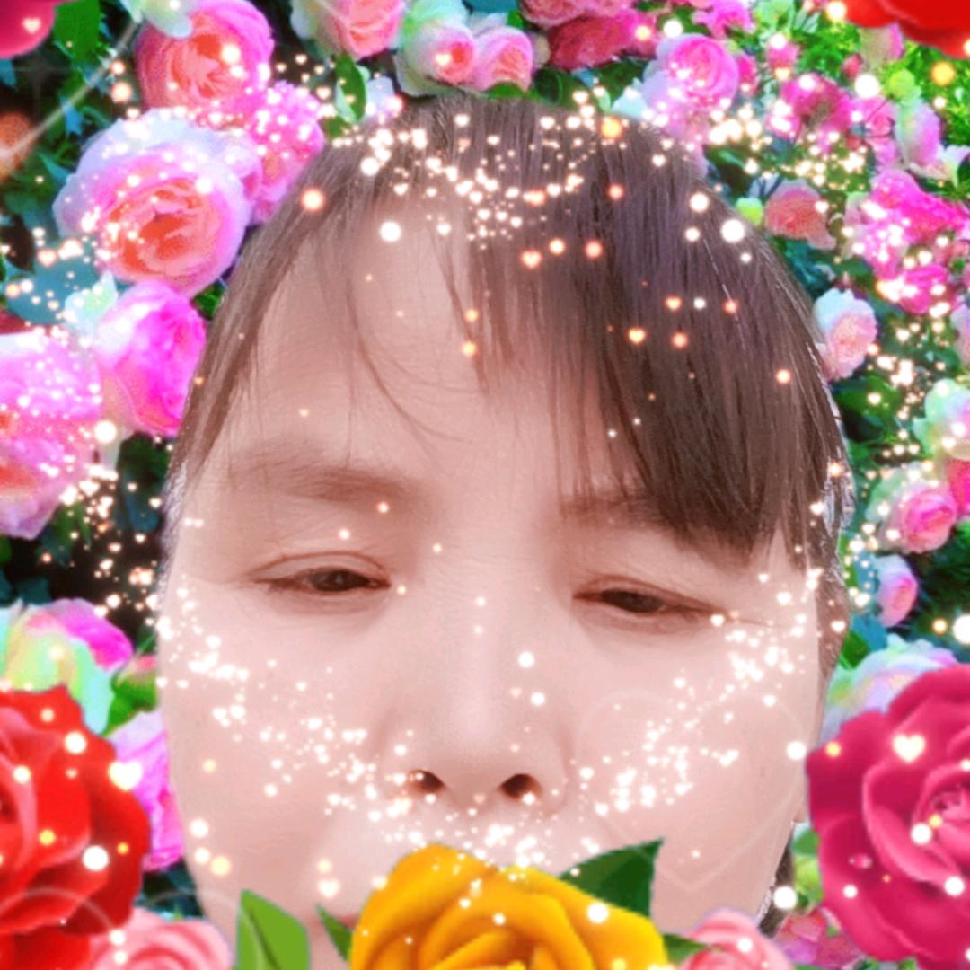 王转宁