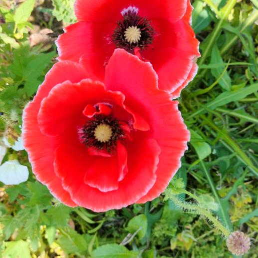 认知决定你的财富，弱水三千只取一瓢