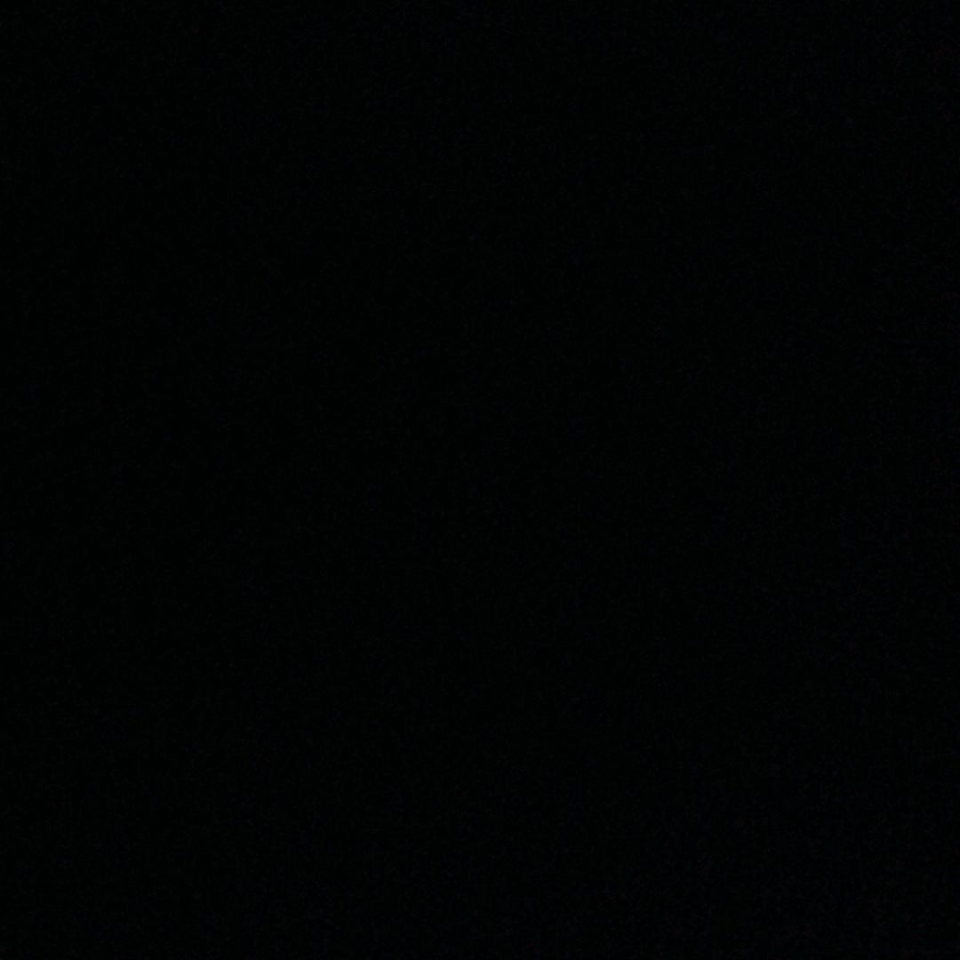 李老爷