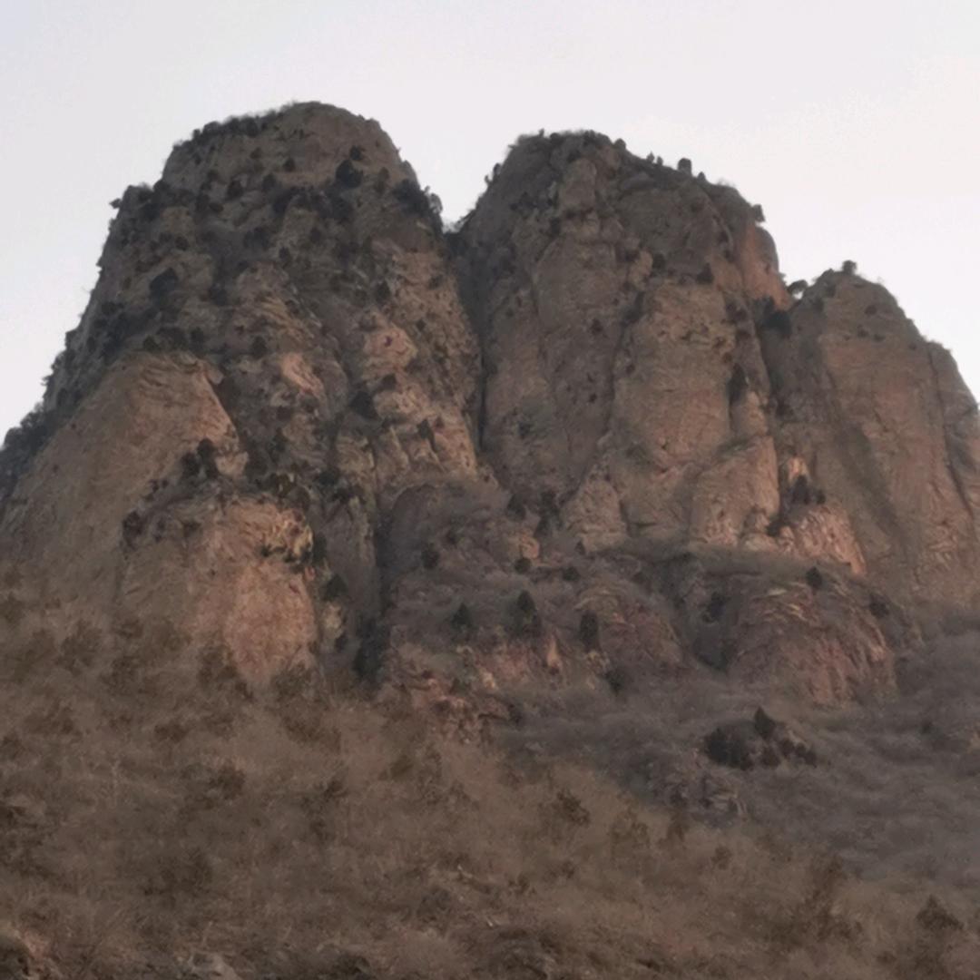 木子三哥共享海🐏🐏🐏