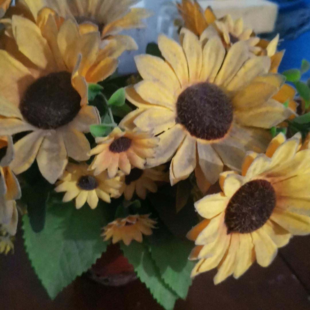 鹤舞云天（禹州稻香村纯粮老酒馆）