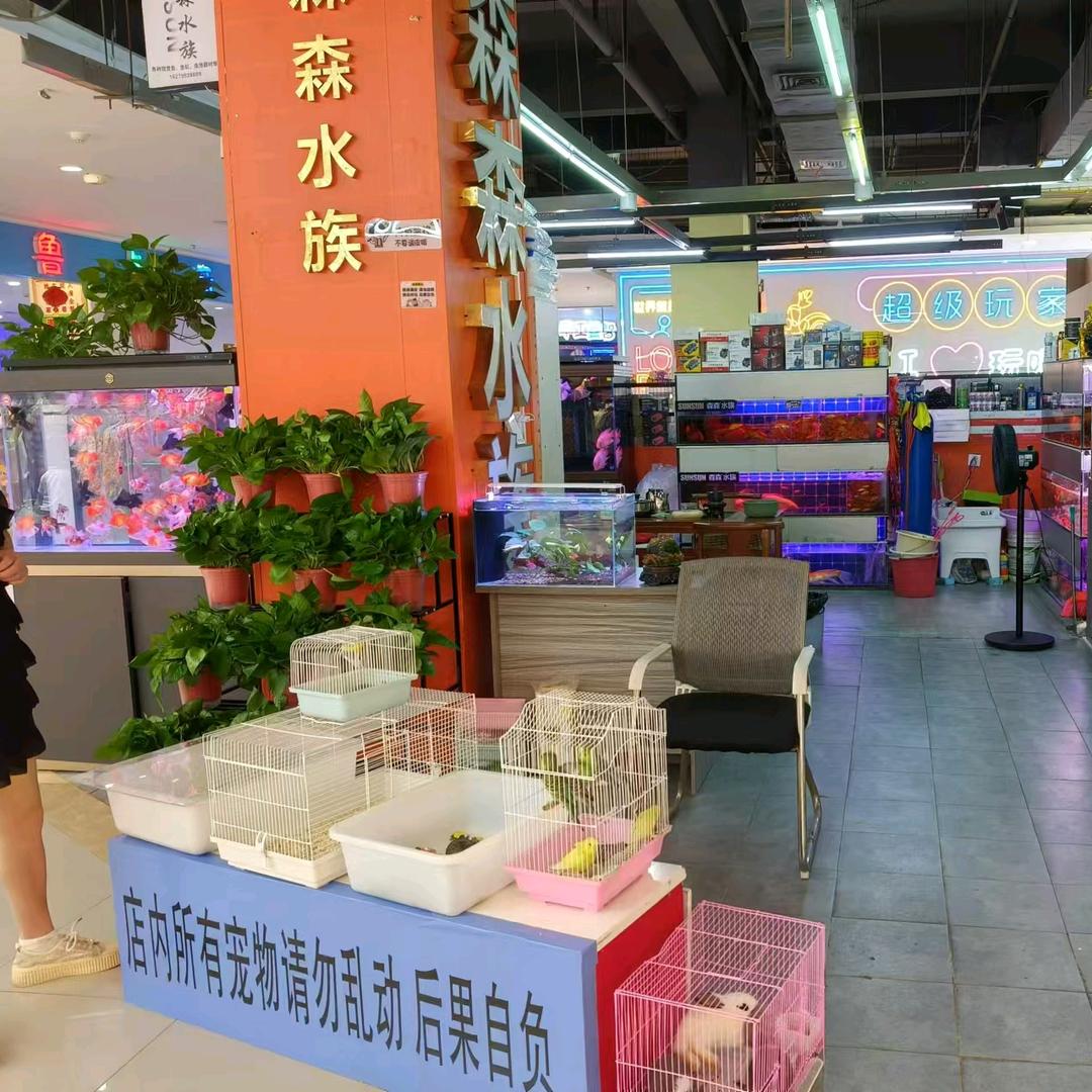 上高森森袁荣华