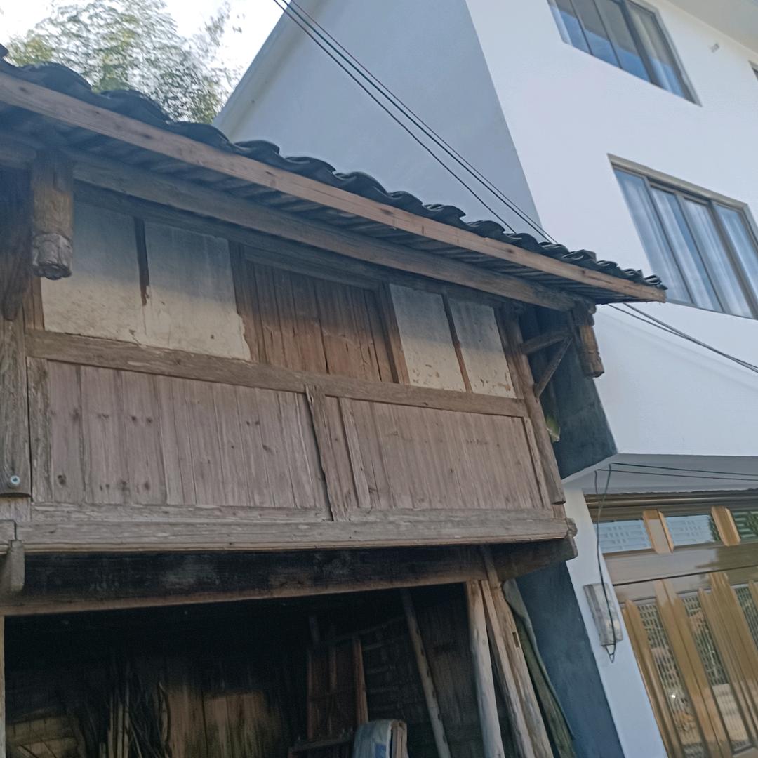 胜男