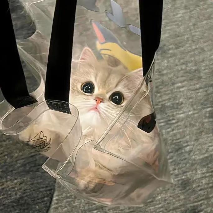 🌈此硕飞彼碩🌈