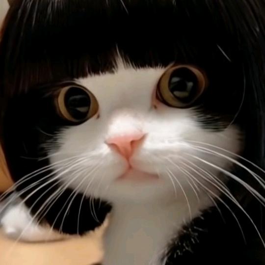 鸡蛋教教主屁响响