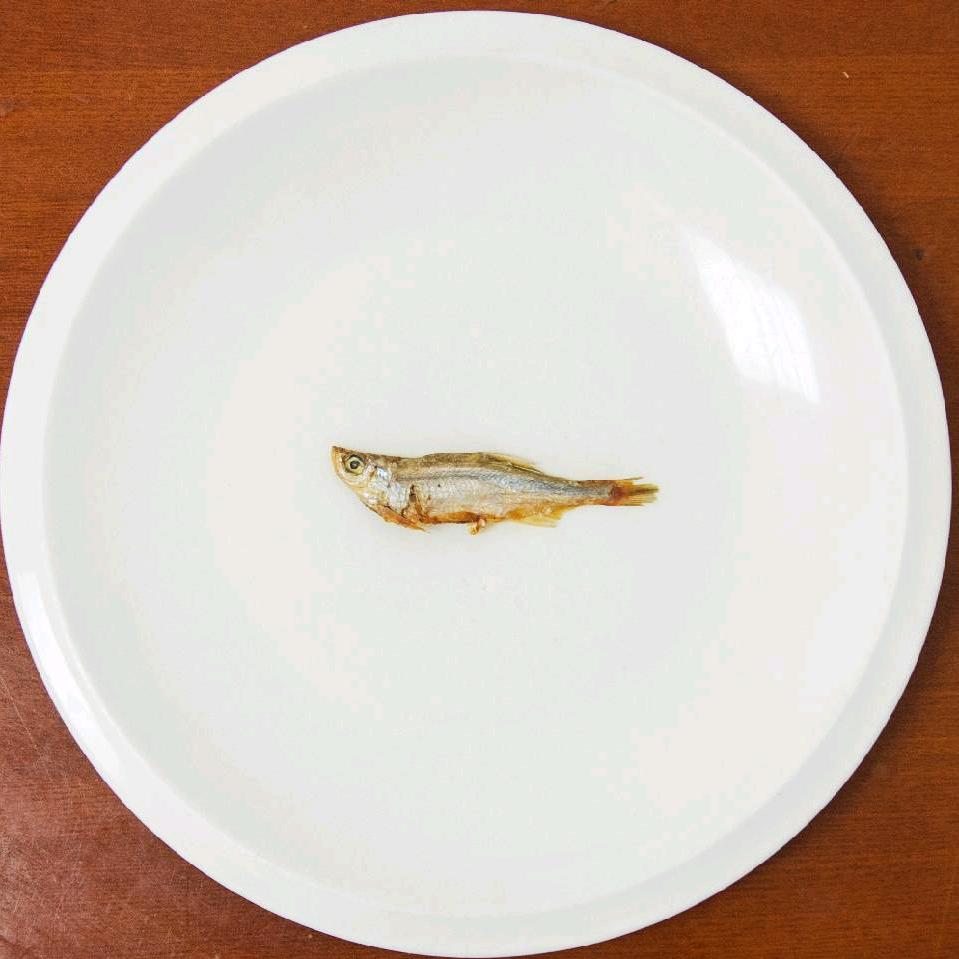 申哥