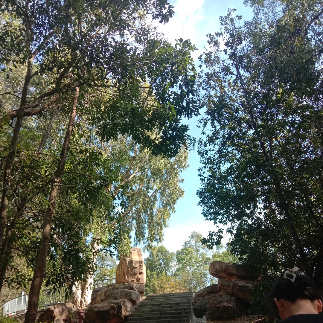 💞心逽嚮陽嫵葨蕜殇💞