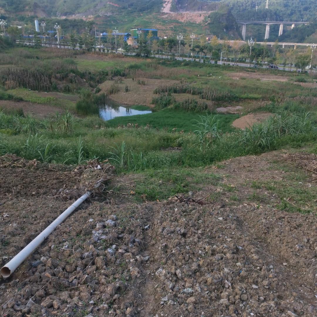 苦海无涯