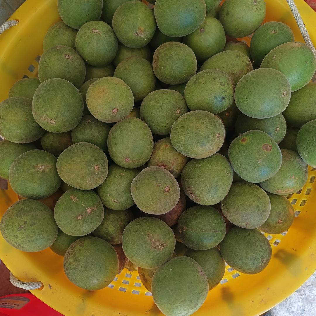 独来独往好开心。享受孤独